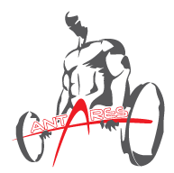 Logo Palestra Antares Messina